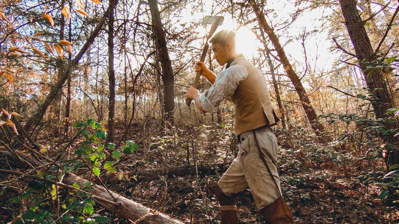 Large Tree Removal